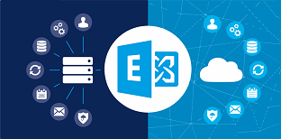 MS Exchange Consultant